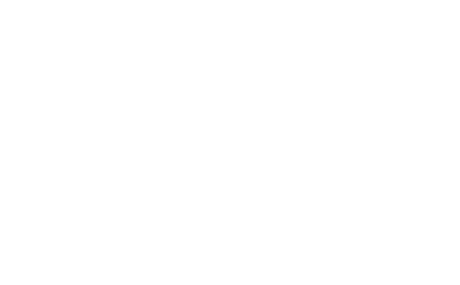 Japi · Never Surrender